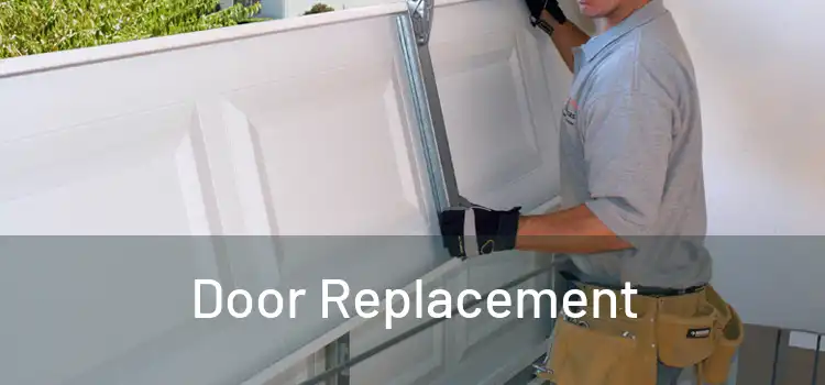  Door Replacement 