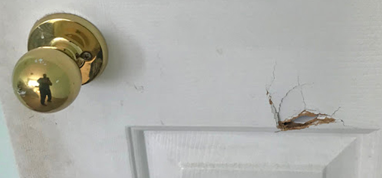 interior door hole repair Sunnyslope