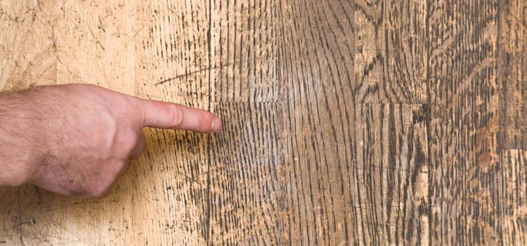 Wood Door Scratch Repair in Sunnyslope